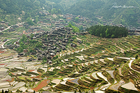 Risaie attorno al villaggio di Xinjiang, provincia del Guizhou, Cina