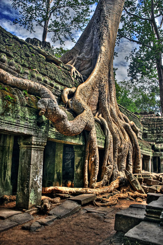 Angkor Wat, l