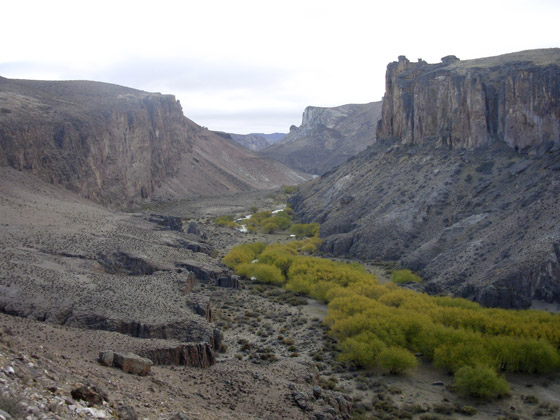 Il canyon del Rio de las Pinturas