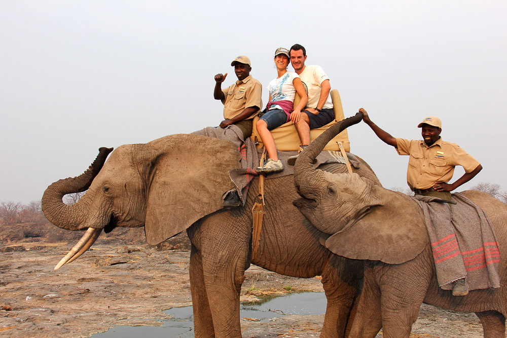 Safari in groppa agli elefanti