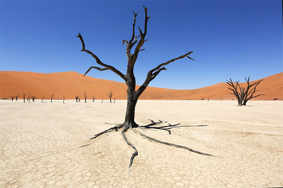 Dead Vlei, Deserto del Namib