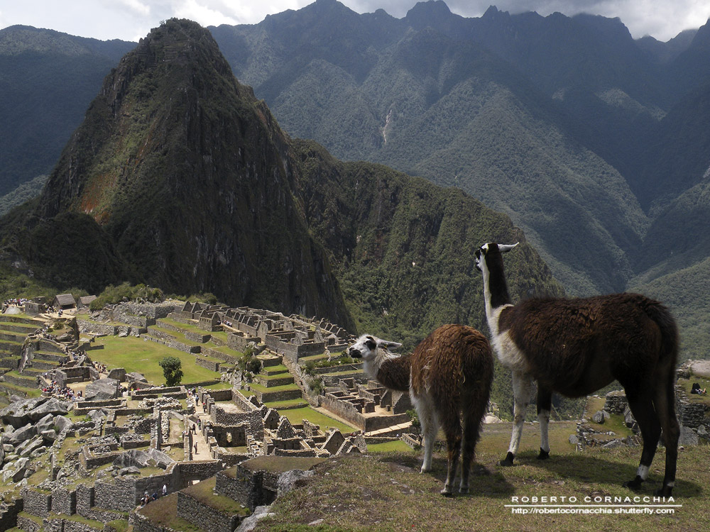 Machu Picchu - Archivio Fotografico Pianeta Gaia