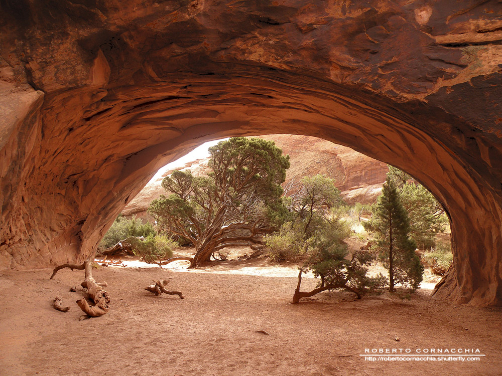 Il Navajo Arch, uno dei tanti archi minori di cui è disseminato il parco - Archivio Fotografico Pianeta Gaia