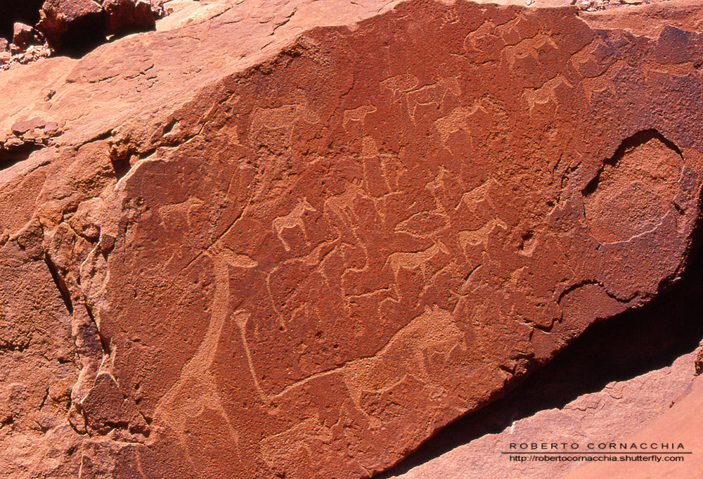 I petroglifi di Twyfelfontein - Archivio Fotografico Pianeta Gaia