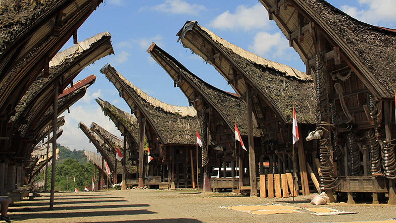Una fila di tongkonan del popolo Toraja, Isola di Sulawesi, Indonesia