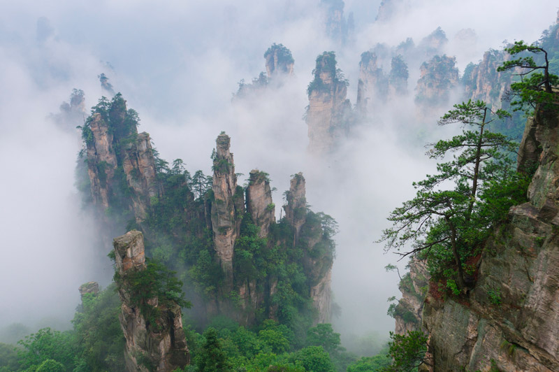 Le ardite guglie del parco di Wulingyuang