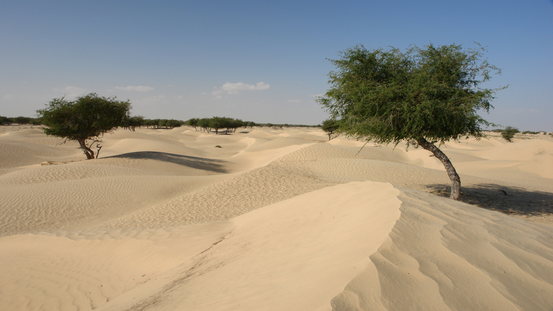 Oman la Magia del Deserto