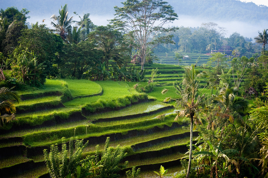 Indonesia: Giacarta, Bali, Flores e Komodo