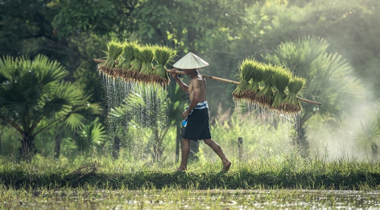 Incredibile Vietnam