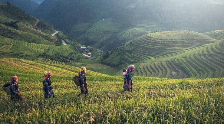 Armonioso Vietnam