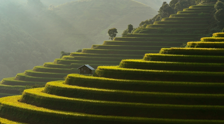 Bali, un'isola magica