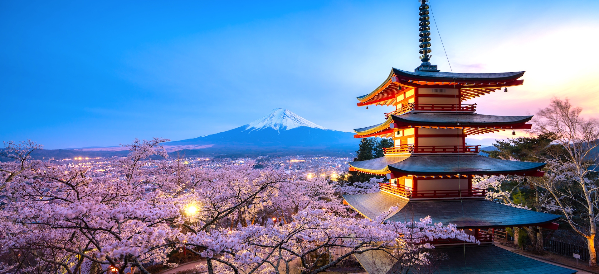 Viaggio GIAPPONE HANAMI LA FIORITURA DEI CILIEGI Pianeta Gaia