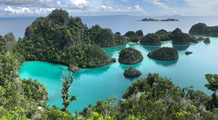 Raja Ampat