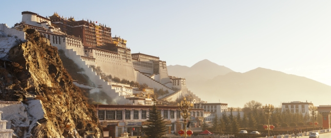 lhasa