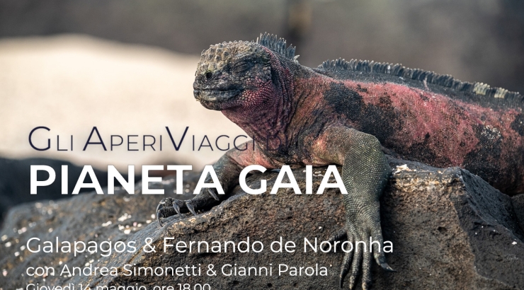 Galapagos & Fernando de Noronha