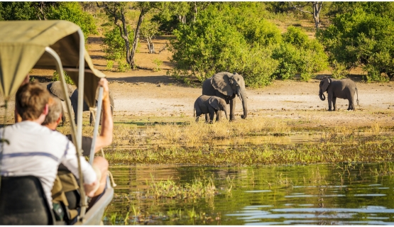 BOTSWANA: SENTIERI D’ACQUA