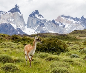 Torres del Paine