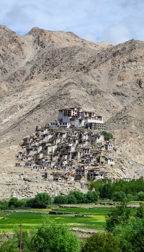 Cheemre Gompa