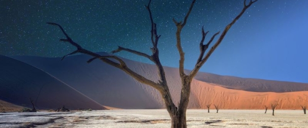 Deserto del Namib