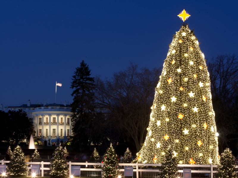 Albero Di Natale Washington.Pianeta Gaia Viaggi Srl Blog Alberi Di Natale Dal Mondo