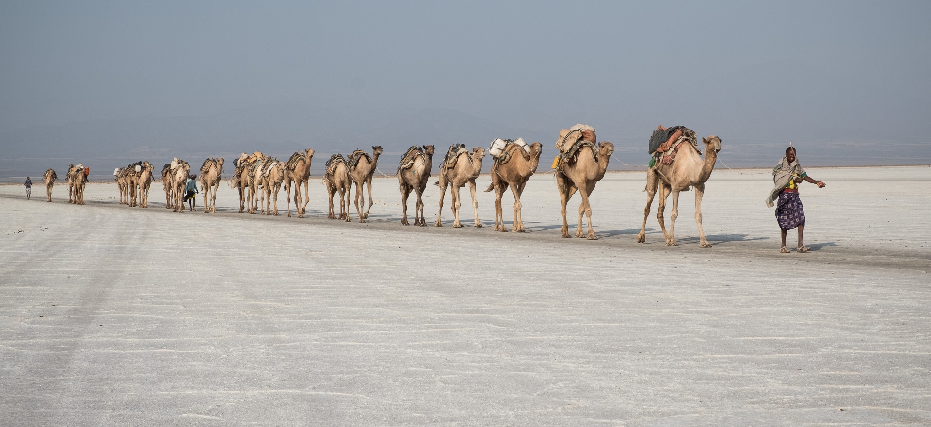 viaggio in etiopia - carovana di dromedari