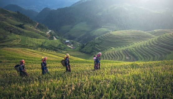 GRANTOUR VIETNAM
